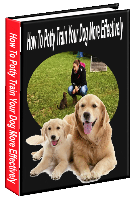 How To Potty Train Your Dog More Effectively